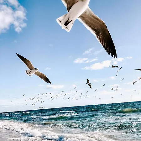 Sun And Sea Onix Blue Apartment's Apartmán Năvodari